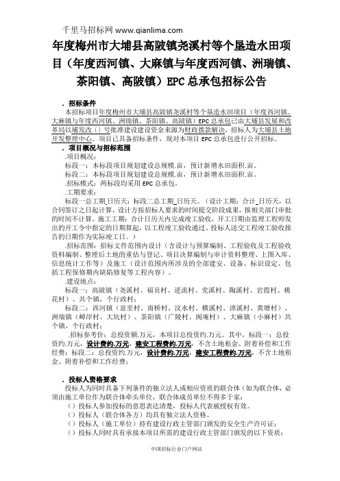 垦造水田项目招投标书范本