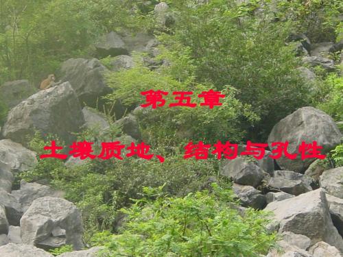 第五章土壤质地、结构与孔性森林土壤课件
