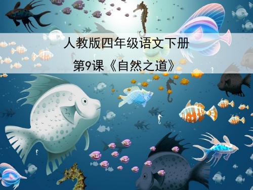人教版小学语文四年级下册 《自然之道》 ppt课件