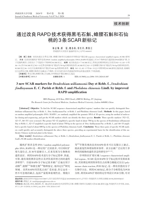 通过改良RAPD技术获得黑毛石斛、蜂腰石斛和石仙桃的3条SCAR新标记