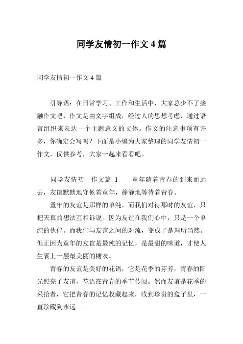 同学友情初一作文4篇