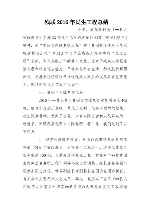 残联2016年民生工程总结