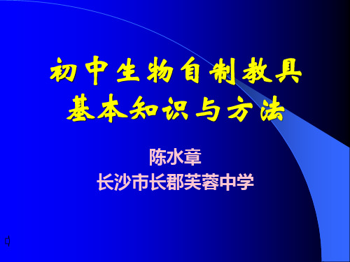 初中生物自制教具