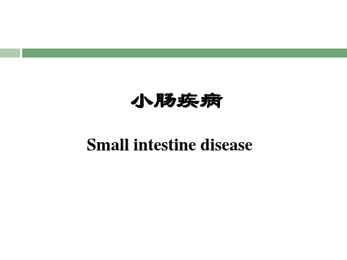 外科学教学课件：小肠疾病