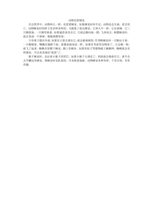 动物怎样睡觉_小学作文