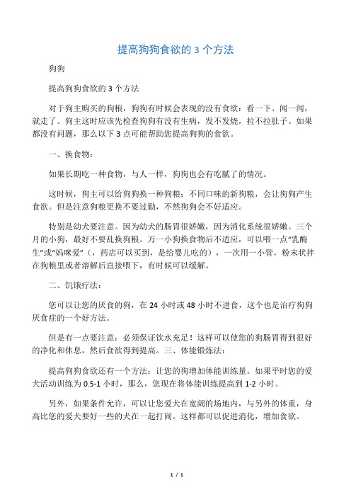 提高狗狗食欲的3个方法