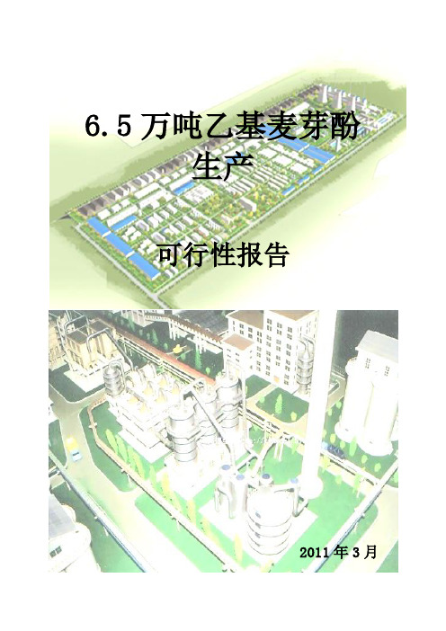 6.5万吨乙基麦芽酚的生产可行性报告