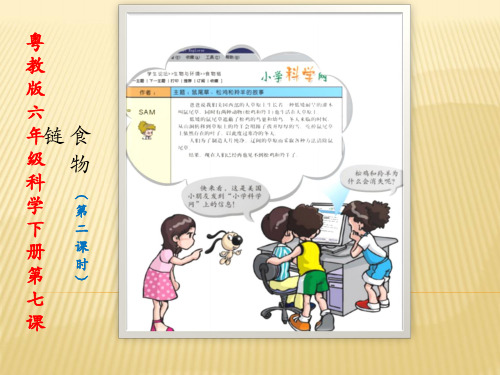 粤教版六年级科学上册 《食物链》(第二课时)