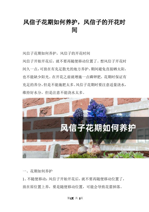 风信子花期如何养护，风信子的开花时间