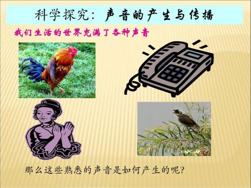 3.1科学探究声音的产生与传播