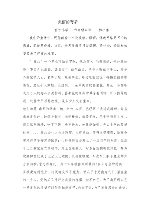 美丽的背后