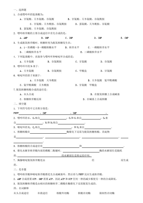 生物化学试题库及其答案——核苷酸代谢