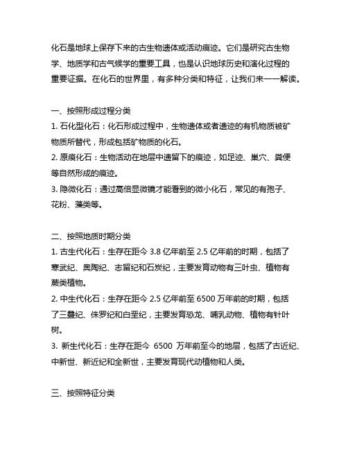 简述化石的分类与各类化石的特征