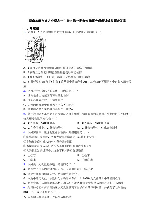 湖南株洲市南方中学高一生物必修一期末选择题专项考试模拟题含答案