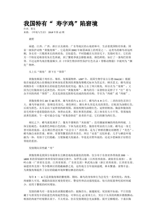 我国特有“ 寿字鸡”陷窘境