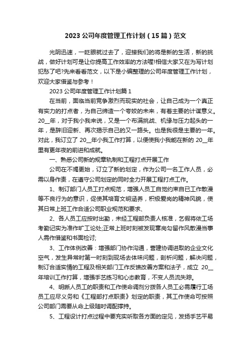 2023公司年度管理工作计划（15篇）范文