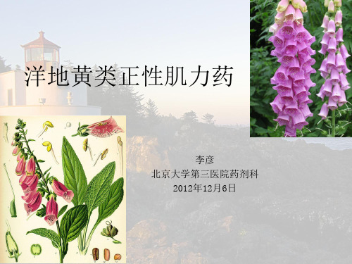 洋地黄类正性肌力药