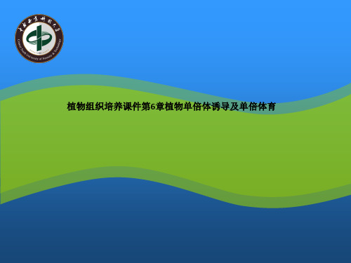 植物组织培养课件第6章植物单倍体诱导及单倍体育