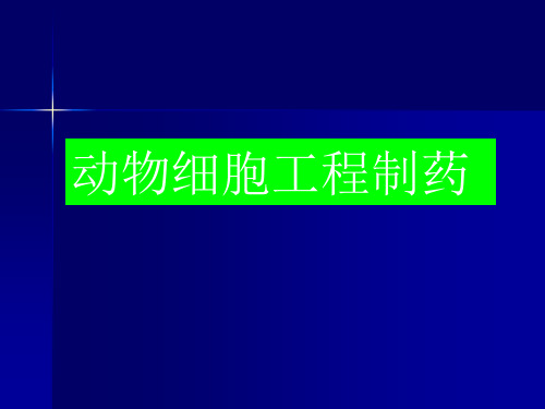生物制药工艺学动物细胞工程制药 ppt课件