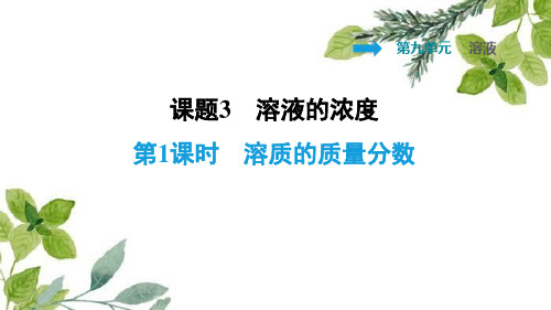 溶质的质量分数PPT授课课件