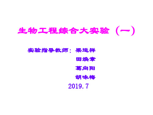 生物工程综合大实验