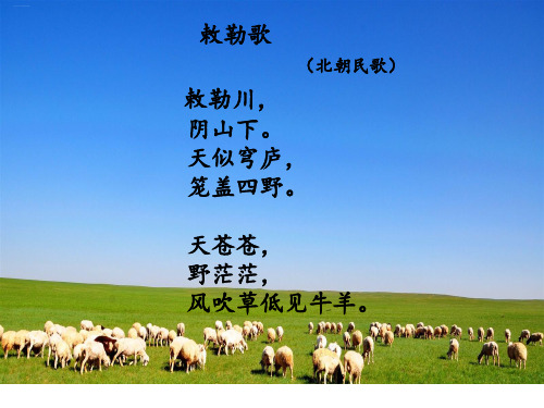 人教(部编版)敕勒歌ppt课件1