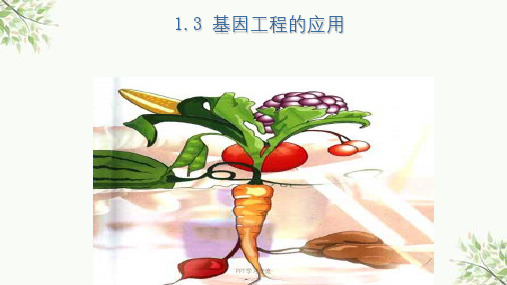 基因工程的应用医学ppt课件