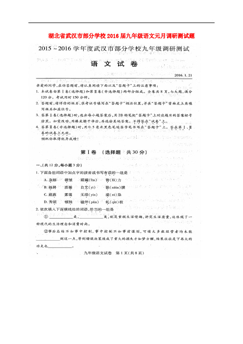 湖北省武汉市部分学校九年级语文元月调研测试题(扫描