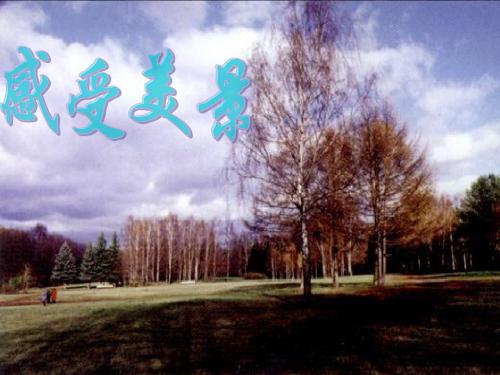 初中一年级语文《树林和草原》课件