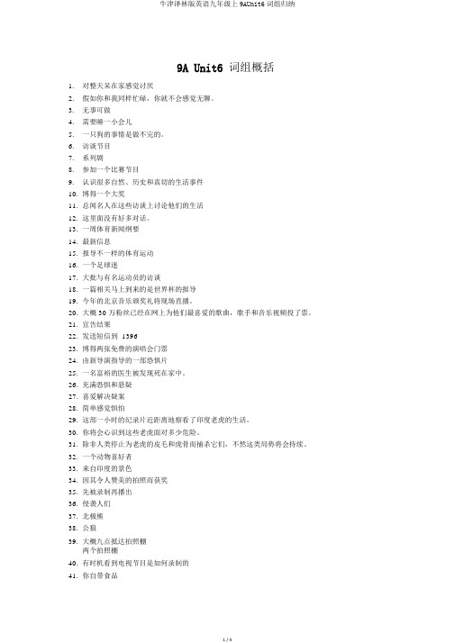 牛津译林版英语九年级上9AUnit6词组归纳