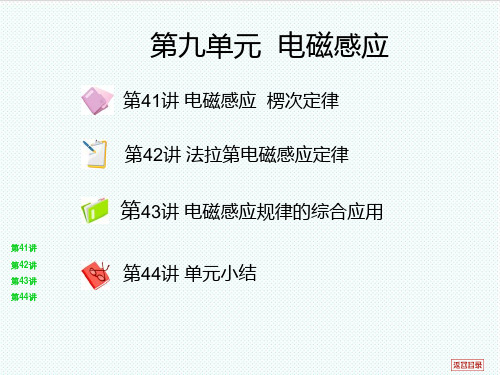 新课标高考物理 第九讲 电磁感应总复习课件 新人教版