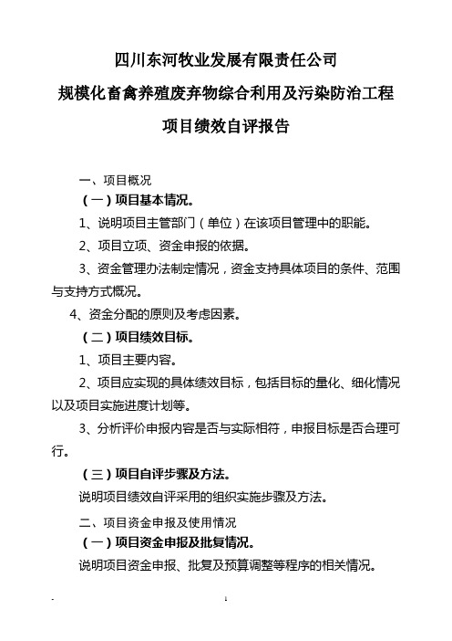 项目绩效自评报告主管部门自评提纲