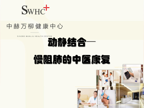 慢阻肺的中医康复-精品文档