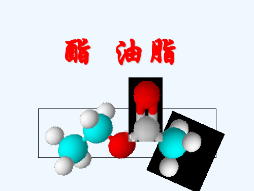 2021_2022学年高中化学第三章重要的有机化合物第三节3酯和油脂课件6鲁科版必修2