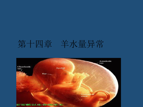 羊水异常讲课PPT课件