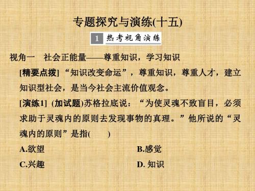 (浙江专版)高考历史大一轮复习 专题十五 西方人文精神的起源与发展专题探究与演练名师课件