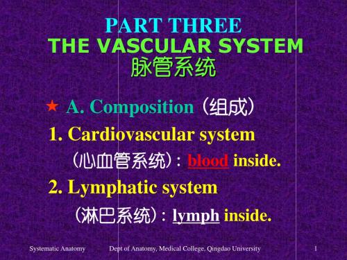 PART THREE THE VASCULAR SYSTEM 脉管系统