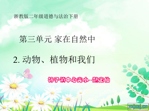 动物植物和我们第一课时ppt