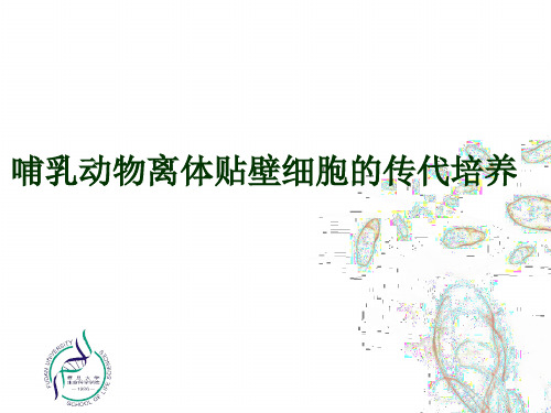 哺乳动物离体贴壁细胞的传代培养.pdf