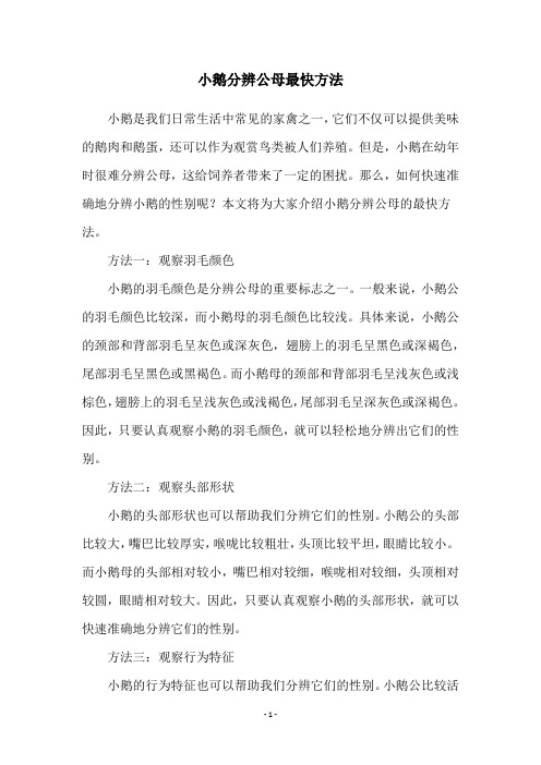 小鹅分辨公母最快方法