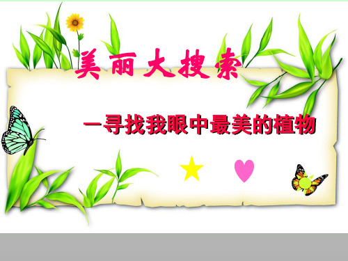 二年级下册美术第4课美丽的植物人美版