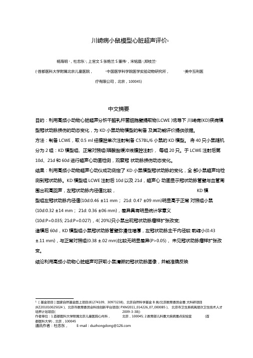 川崎病小鼠模型心脏超声评价-中国试验动物学报