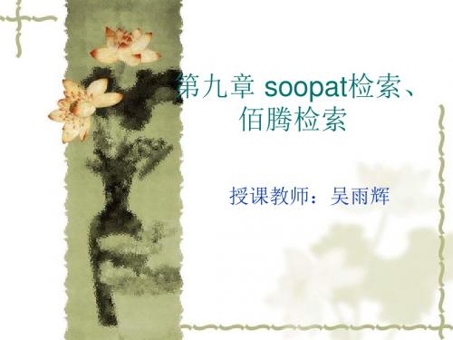 吴雨辉《知识产权信息利用》第十二次课 第九章soopat检索、佰腾检索