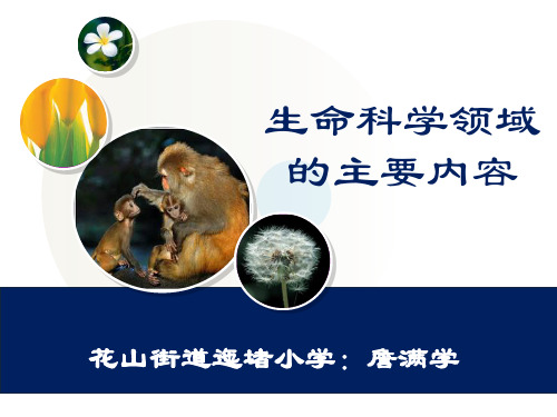 生命世界的主要内容