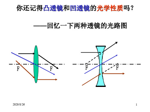 沪粤版物理八年级上册课件：3.6探究凸透镜成像规律(共19张PPT)