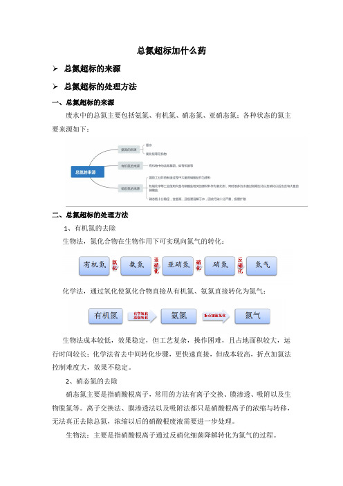 总氮超标加什么药