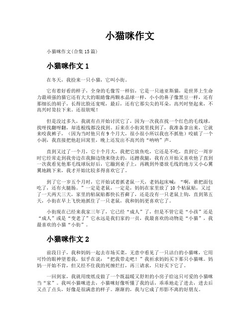 小猫咪作文