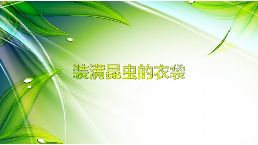苏教版语文五年级上册 5 装满昆虫的衣袋