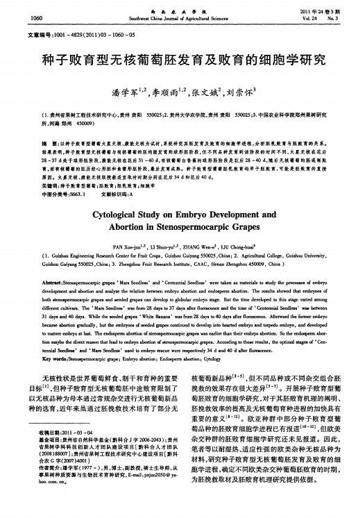 种子败育型无核葡萄胚发育及败育的细胞学研究