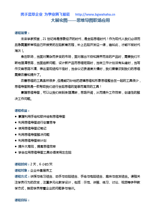 《大展宏图——思维导图职场应用》